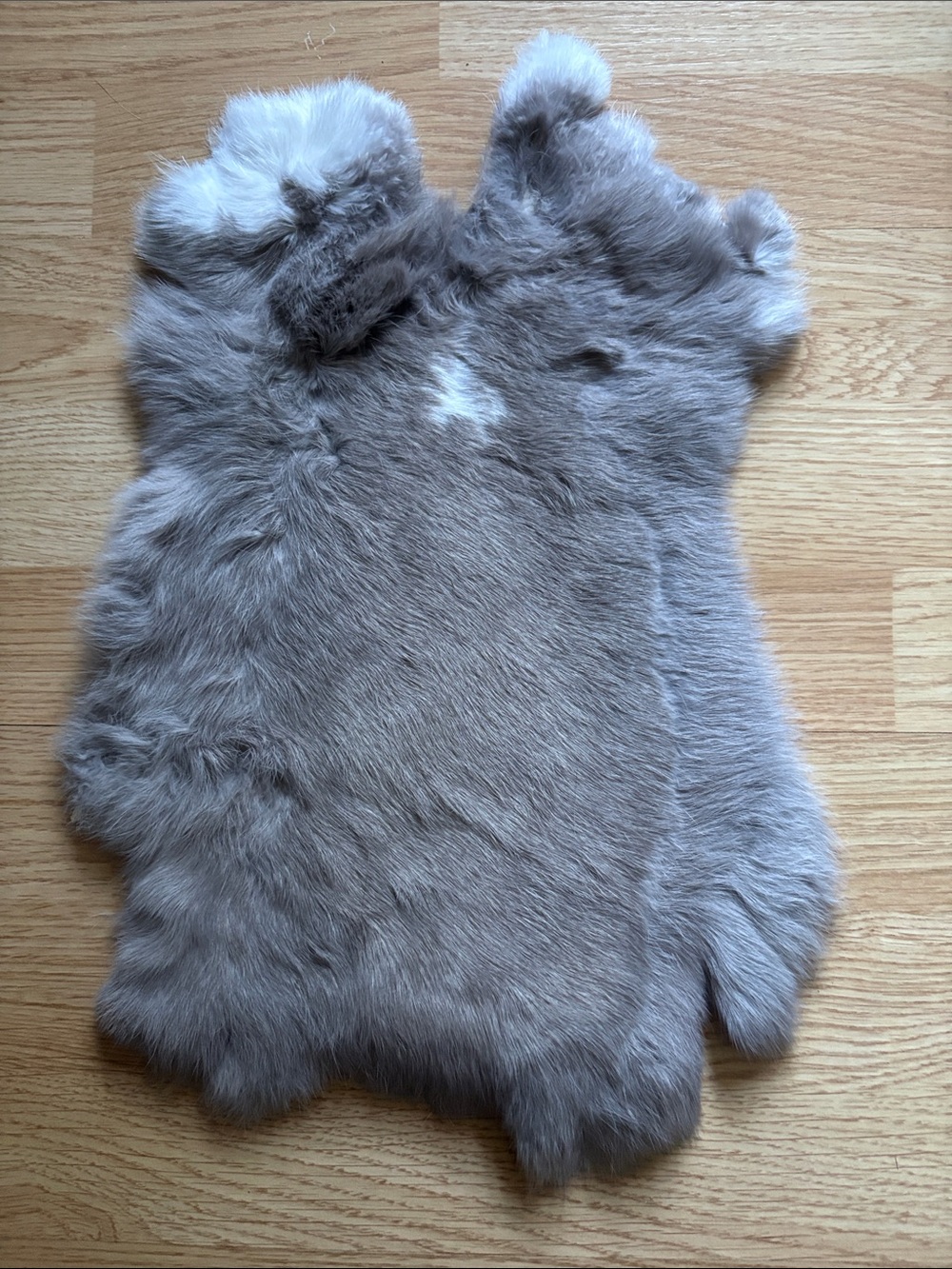 B0200 rabbit pelt